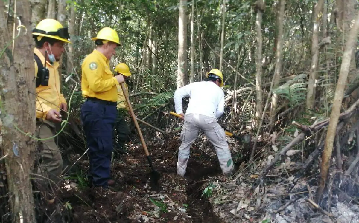 incendios forestales 1